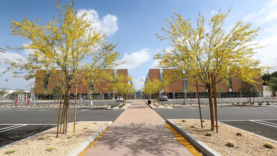 Árbitro mostrando tarjeta amarilla en duelo brasileño